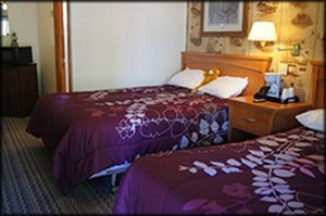 room 14